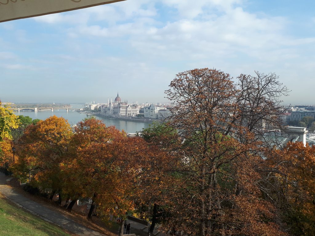 Działania projektowe na Węgrzech