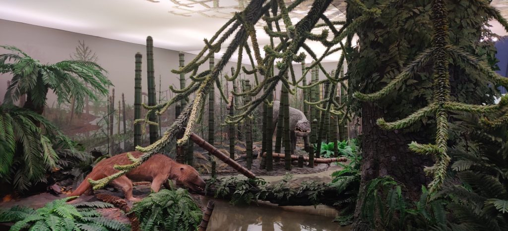 Mobilność w Heindenheim (Niemcy) w ramach projektu Erasmus +